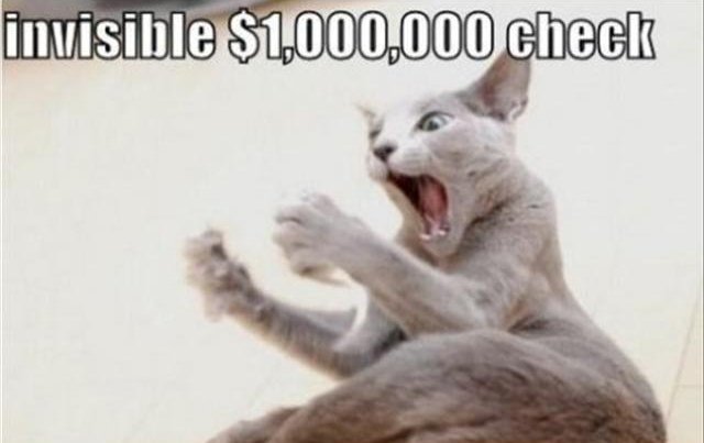 hawt_press's tweet photo. When you finally win the lottery... Ok ok ok, just practicing. #lottery #funnycats #cats #rich https://t.co/5fdKq9fNHc