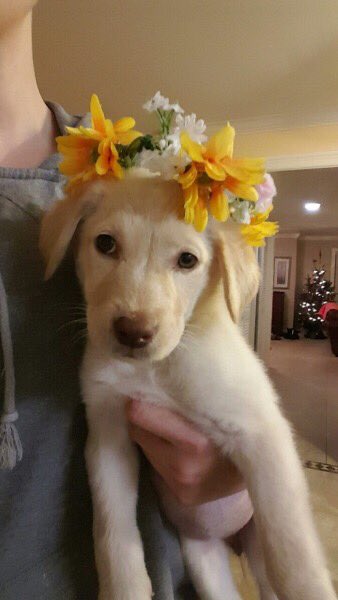 AnimaIsInNature's tweet image. Photo shy 😩