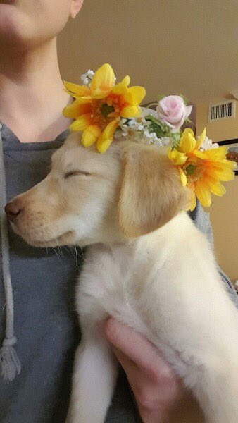 AnimaIsInNature's tweet image. Photo shy 😩