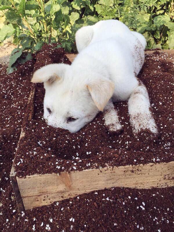 AnimaIsInNature's tweet image. omg