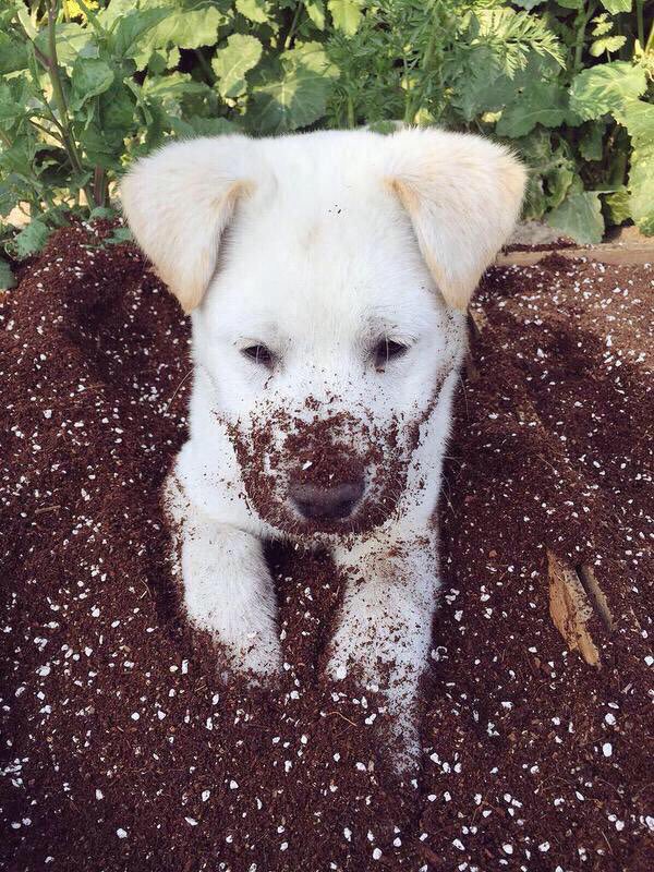 AnimaIsInNature's tweet image. omg