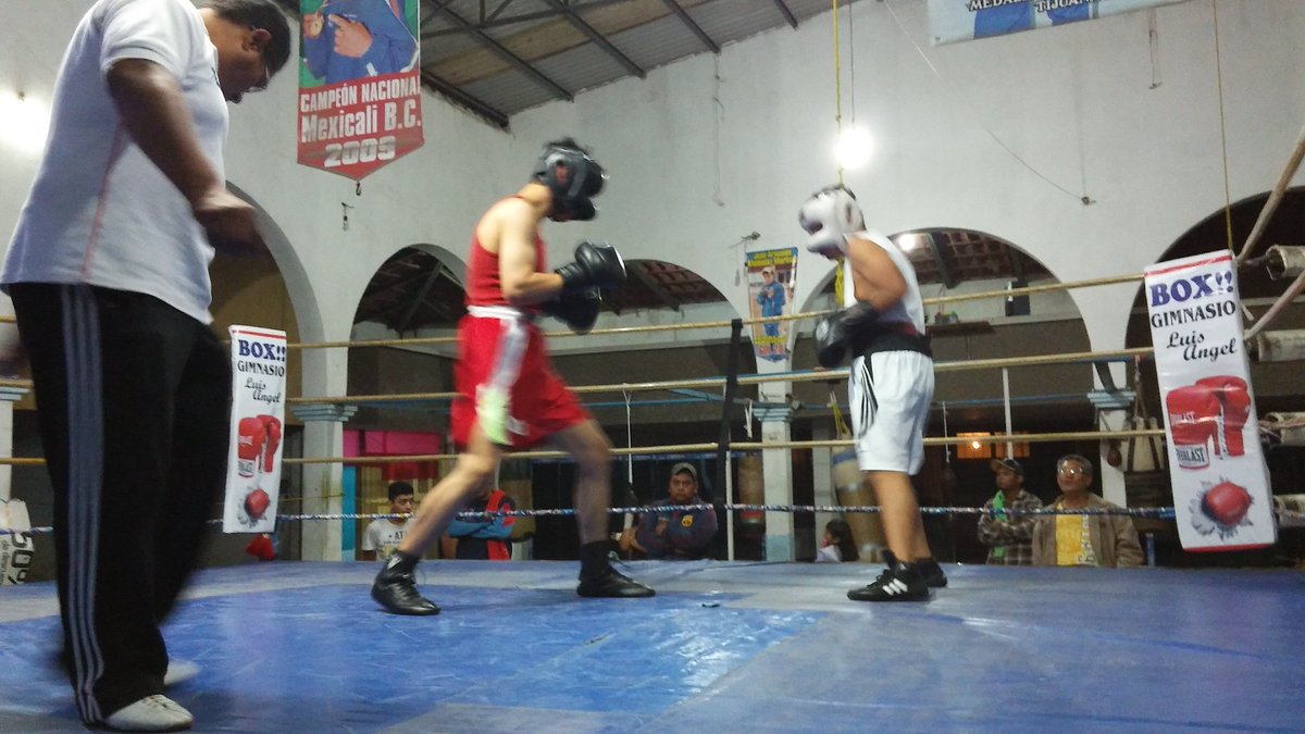 CelayaSIDEC's tweet photo. Excelente nivel de puños #CopaDeBoxeo. Carlos Merino 'El Campeón', fue reconocido por su trayectoria en el box #SIDECEsDeporte
@RamonLemusM https://t.co/uf8cRosL1z