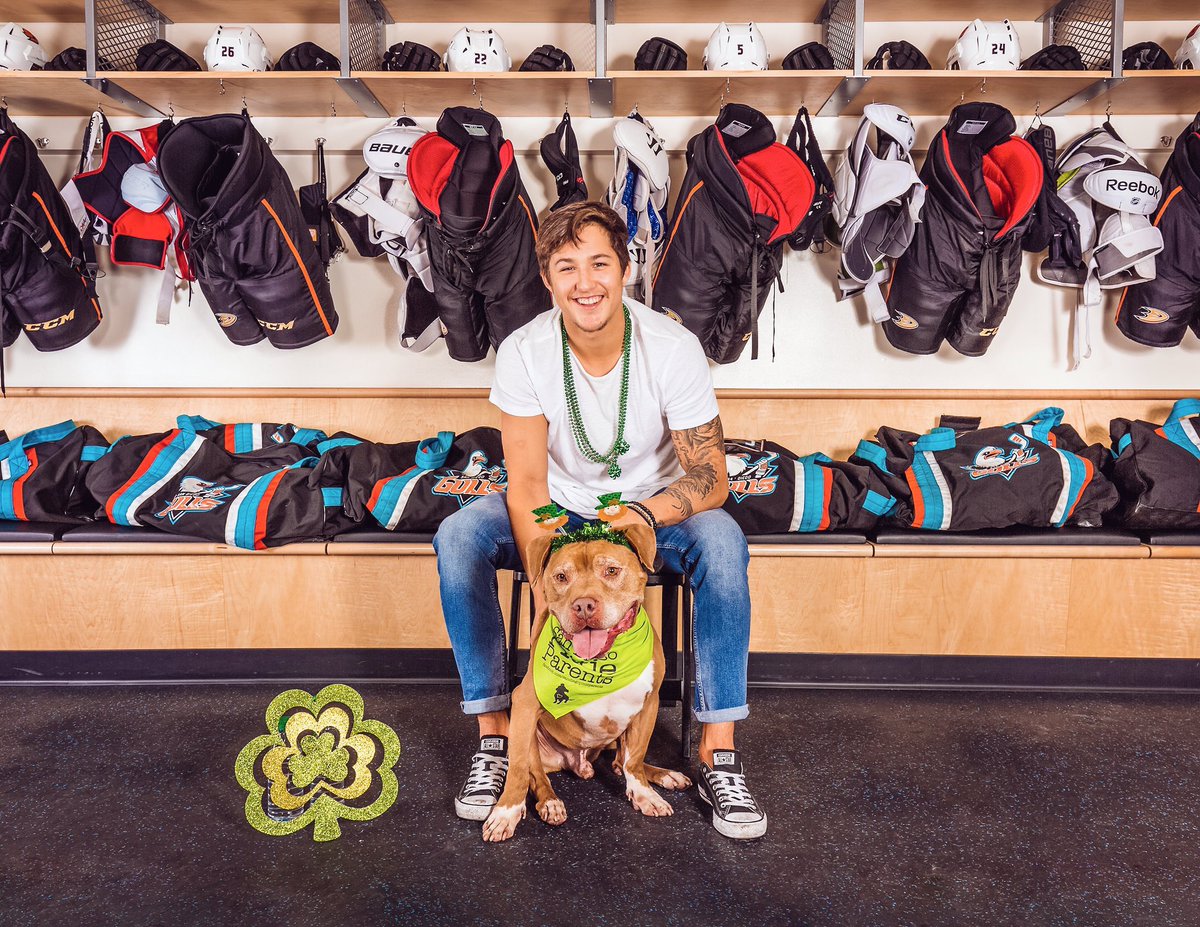 SDGullsAHL's tweet photo. The Gulls 'Pucks &amp; Paws' calendars benefiting San Diego Shelters &amp; Rescues will be available for purchase this weekend at both home games! 🐶 https://t.co/7dM1R0vCss