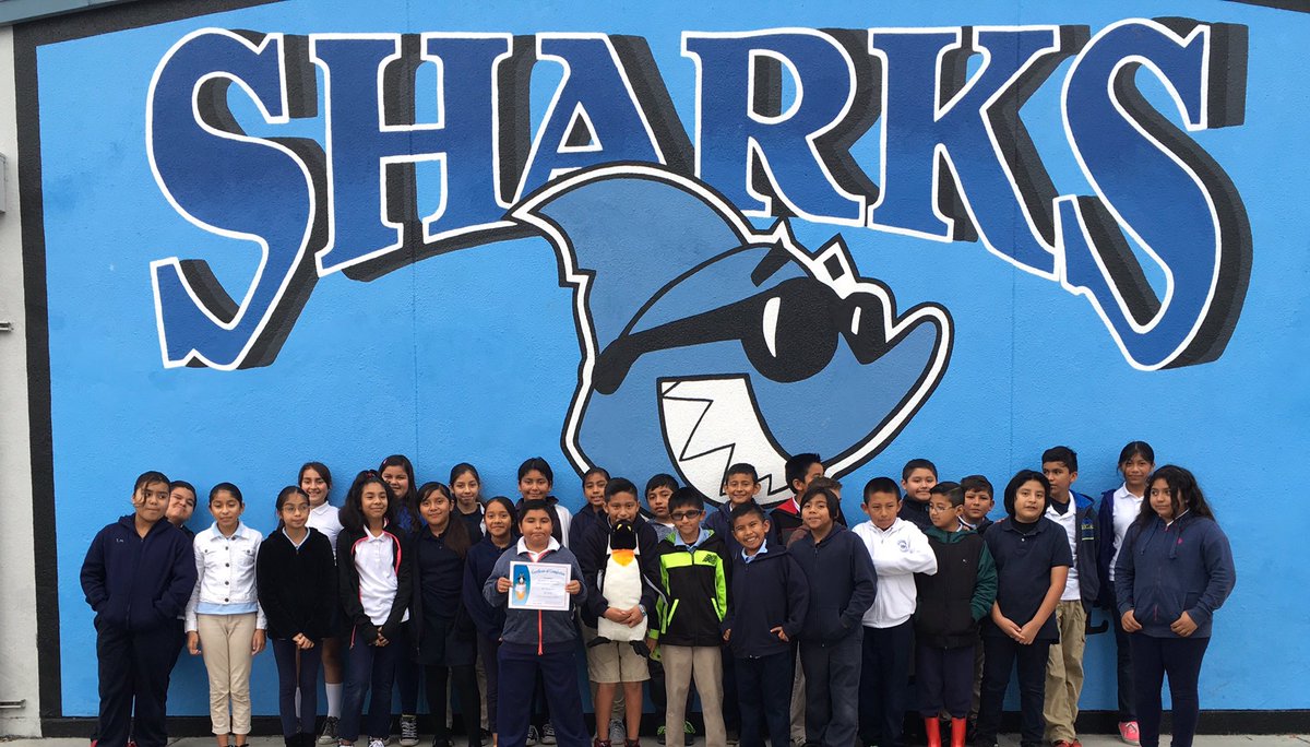 rea_sharks's tweet photo. The inaugural @JiJiMath monthly progress Penguin award goes to @tiffany__kane 5th graders! 🐧 #ReaPride #math #STMath https://t.co/xi3GtE2ZOL