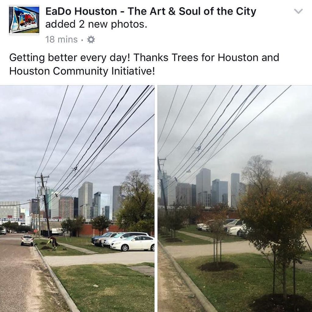 movemetotx's tweet image. Check out the new trees planted in Dallas Street in EaDo! 😎 #EaDo #EastEnd #treesforhouston ift.tt/2gKiQaC
