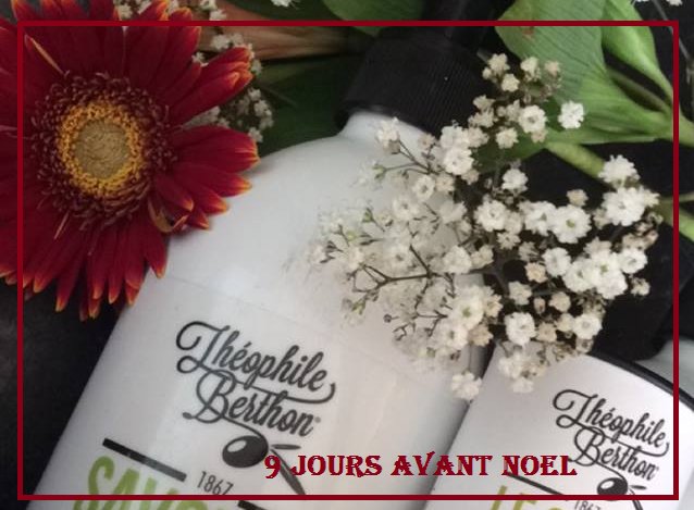 Théophile Berthon- Partie II: L’hiver en Provence macoachgrano.wordpress.com/2016/12/16/the…