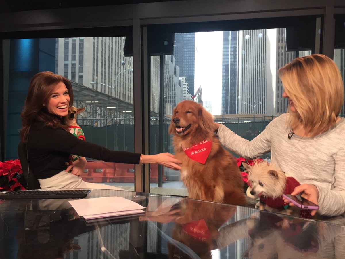 OnTheMoney's tweet photo. See how these dogs are getting a new leash on life!
@susiesseniors #ShareKindness
https://t.co/1UtleZiIKf https://t.co/0dBoFmoyBR