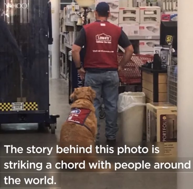 HachikoSBeans's tweet photo. USA, Let's work together to get the job done! I L❤️VE this message! #EOE #GoLowes https://t.co/P7pWBTq1t0 https://t.co/WHCnKTZXnL