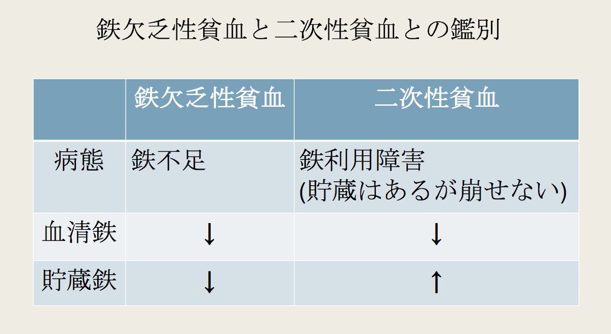 性 貧血 欠乏 鉄