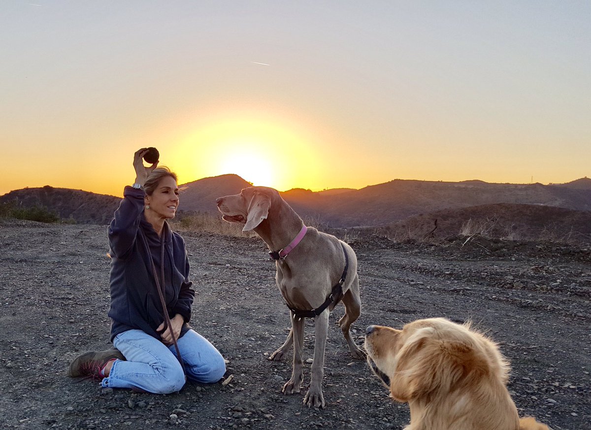 theloveddog's tweet image. Always see the possibilities in your dog instead of his limitations. #tamarism