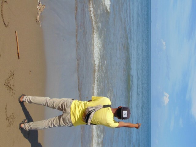 06Apex tweet picture