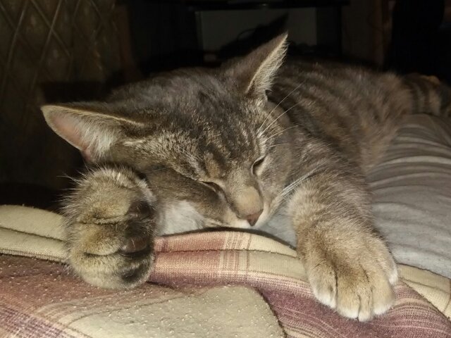 MIgorIv's tweet image. 