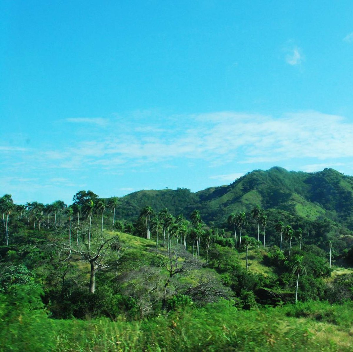 DominicanFound tweet picture