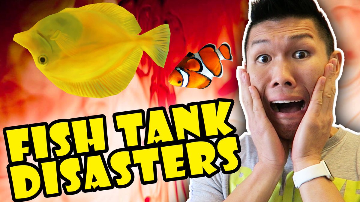 ryenlung's tweet photo. NEW VLOG! #Aquarium Disasters & Triumphs from 1st Year! #RedSeaMax Watch: https://t.co/hab0ZPDmTc https://t.co/8rudCLmmVv