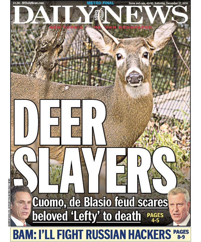 Image result for Deer Slayers NY daily News Front page