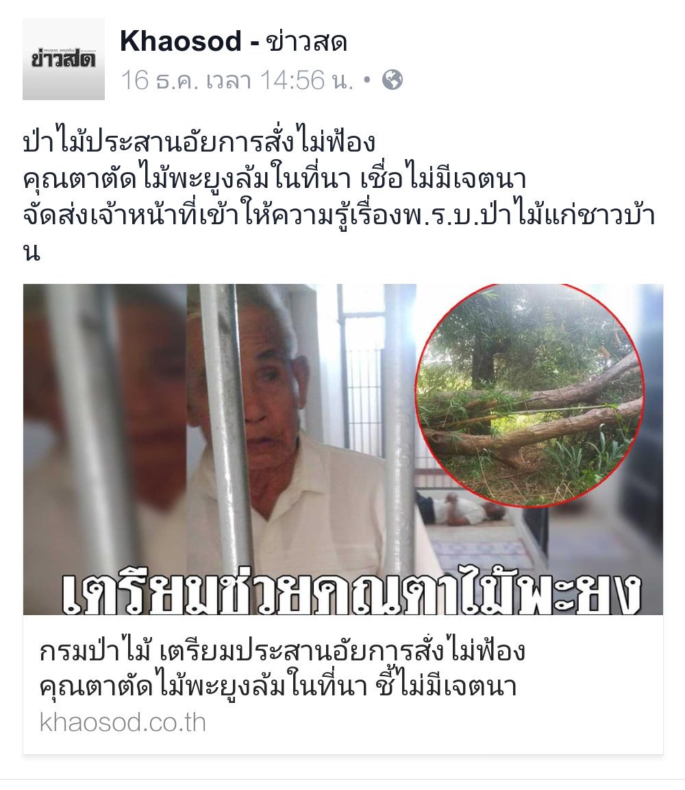 magicbelle__'s tweet photo. มันก็ต้องแบบนี้อยู่แล้วป่ะ? ก็ลุงเค้าประสานงานเกือบครึ่งปีเสือกไม่มา มันเกะกะทางจราจรพอเค้าตัดสินใจต้องทำ เลื่อยไม้กันเอง จนท.รีบมาเลย อีสัส https://t.co/sdcWnIGu8n
