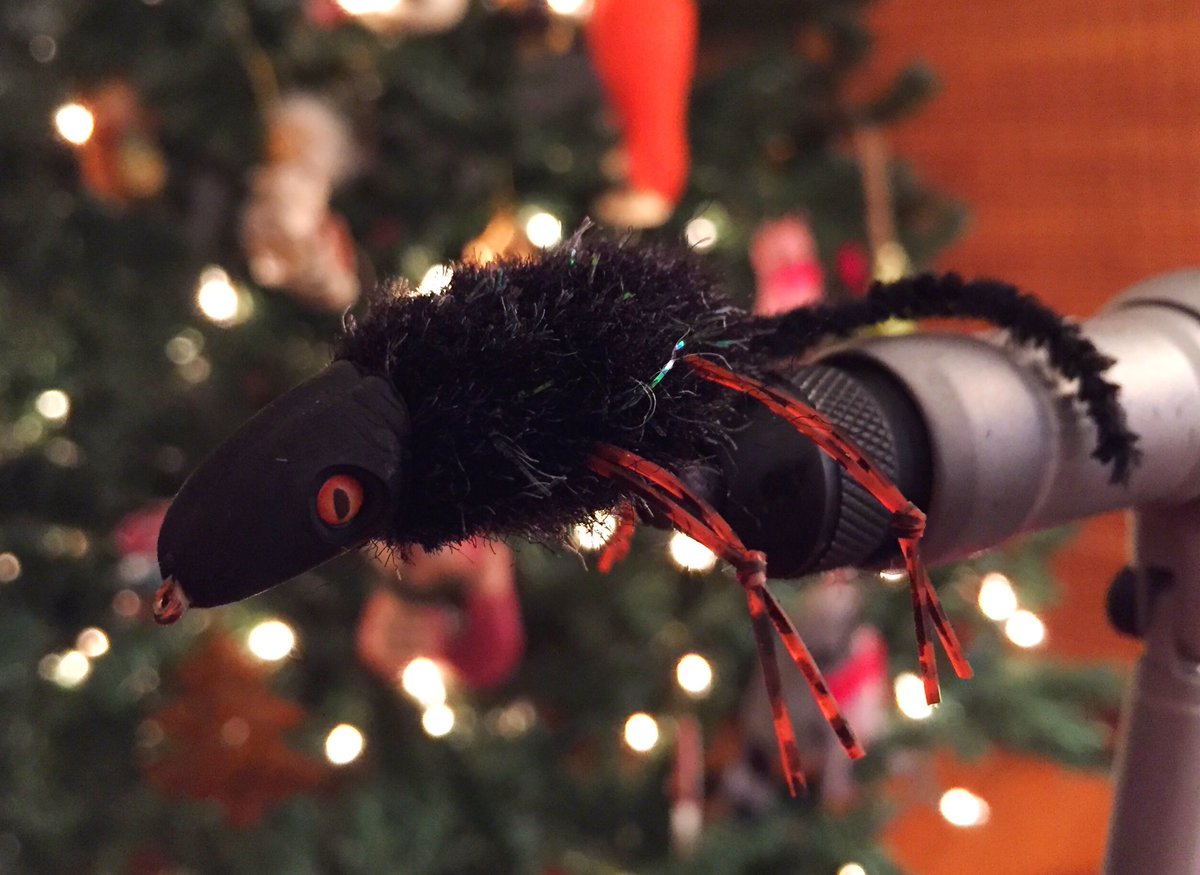 DoubleHauled tweet media