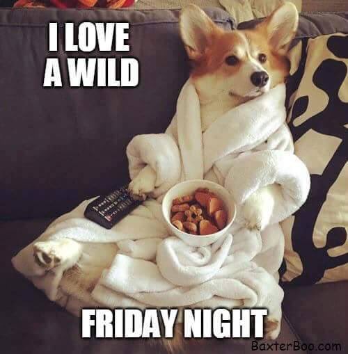 Wild Friday night in  Funny quotes, Its friday quotes, Quotes