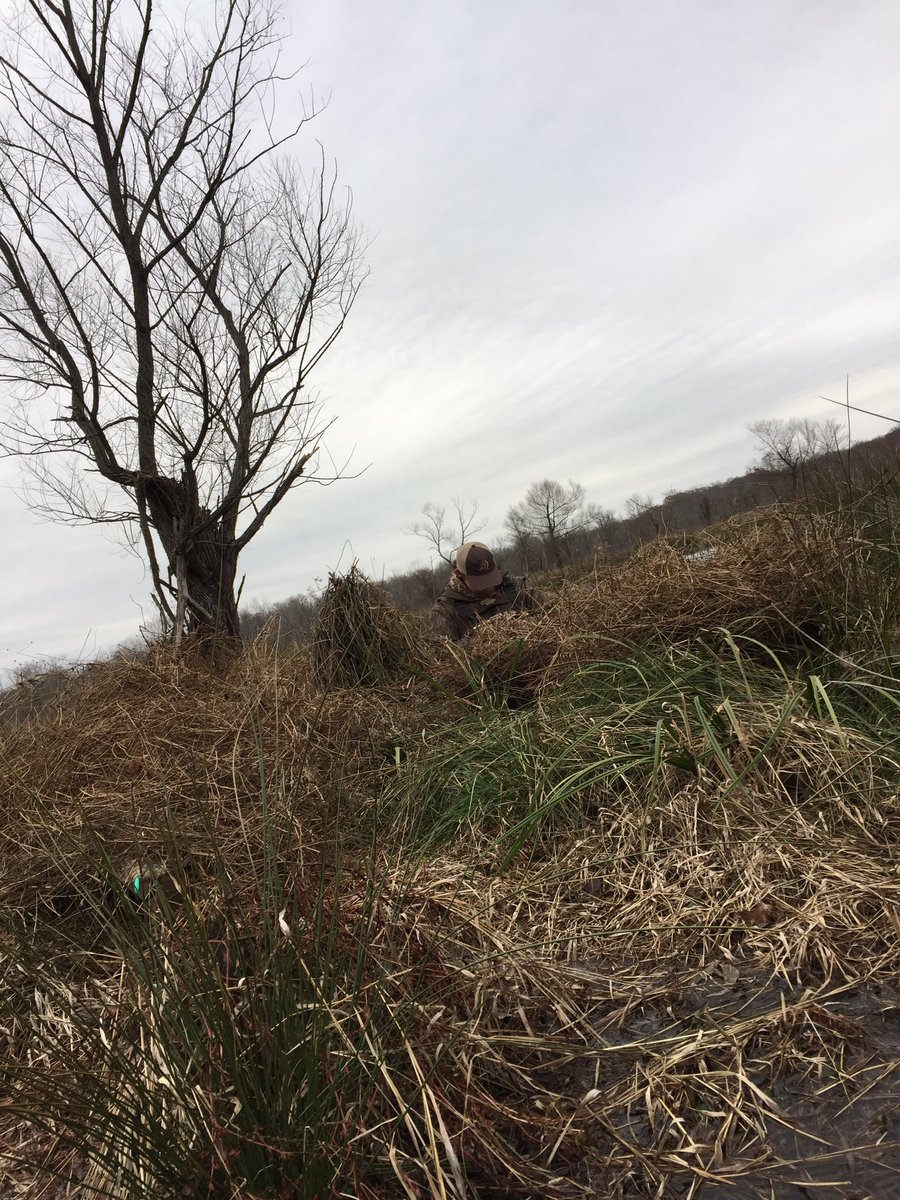 wings_outd's tweet image. Home made blinds. Just as good as store bought ones