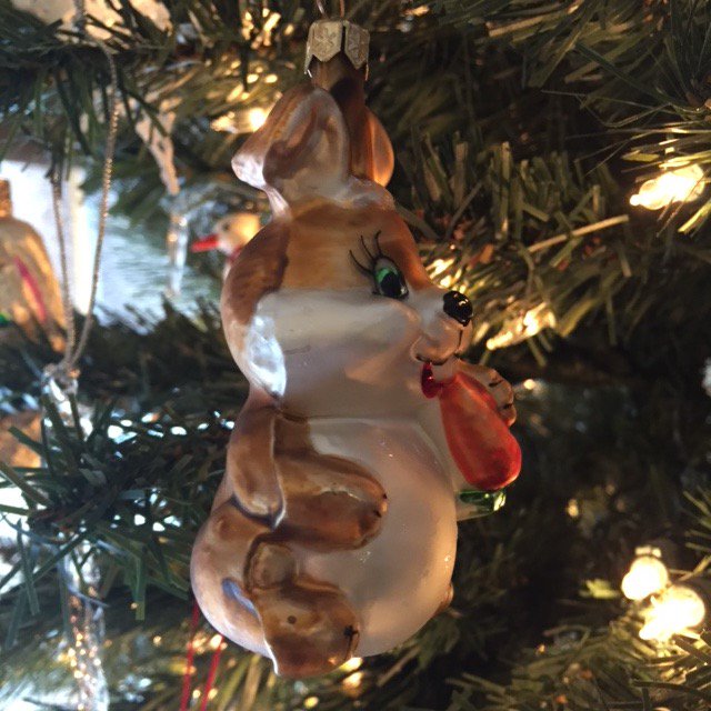 Thump_Bolt's tweet image. Day 16:  #winterstormdecima isn't dampening the spirits of this little guy.  #RabbitsofChristmas