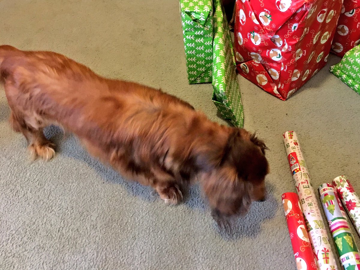 JaalaPulford's tweet photo. Naughty and nice https://t.co/Mcdl8hBCni
