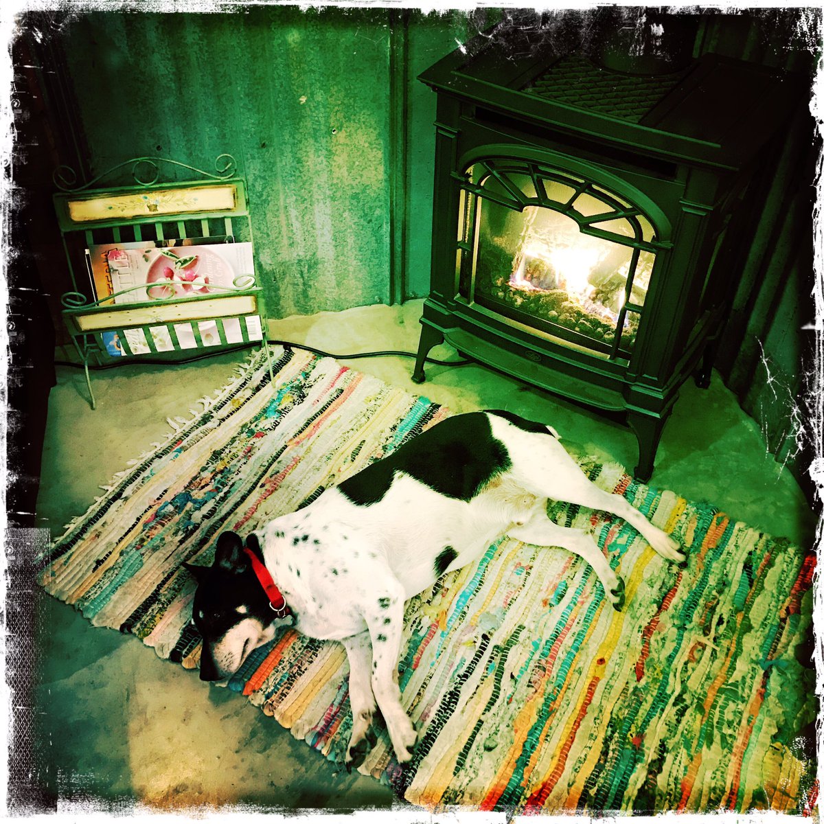 samishbaycheese's tweet photo. Come hang out with Charley at the fire and have a glass of wine and a cheese board @samishbaycheese this weekend! https://t.co/Ey4H5aQEyD