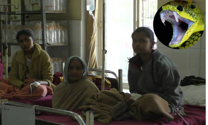 Real_Trending's tweet image. ગર્લ્સ હોસ્ટેલમાં ઘૂસેલા સાપે 3 યુવતીઓને ડંખ માર્યો 
#Gujarat #News
 realtrending.com/gujarat/snake-…