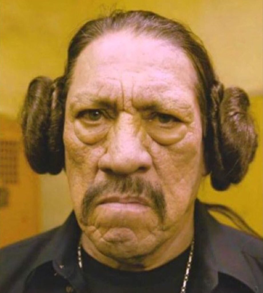 SwedishCanary's tweet photo. Years of galactic wars have taken their toll on Princess Leia... https://t.co/xrnpLLcsmZ