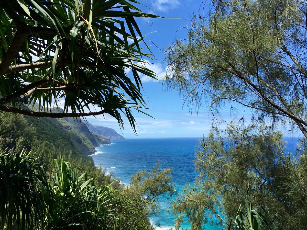 thetaptramp's tweet photo. #napalicoast hike in #kauai. Incredible beauty every step of the way. A bit slick after the rain! #thegardenisle https://t.co/hKrD9JRGV9