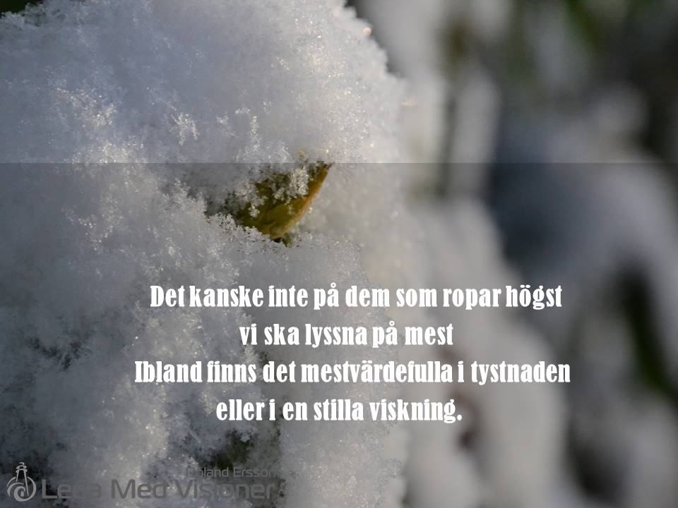 Det kanske inte på dem som ropar högst vi ska lyssna på mest Ibland finns det mest värdefulla i tystnaden eller i en stilla viskning.