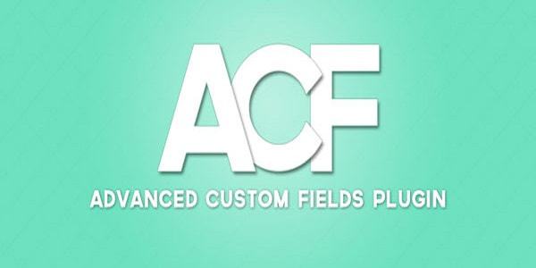 ThemeForrest's tweet image. FREE DOWNLOAD ADVANCED CUSTOM FIELDS PRO V5.5.2 WITH ADDONS - themeforrest.org/free-download/… #ThemeForest