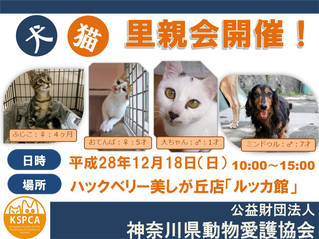 公益財団法人 神奈川県動物愛護協会 明日は青葉区ハックベリー美しが丘店ルッカ館にて10時から15時まで 里親会を開催いたします 参加する動物の詳細等は ブログにてご確認ください T Co Z6zzh0vzib 16年最後の里親会です みなさま ぜひお