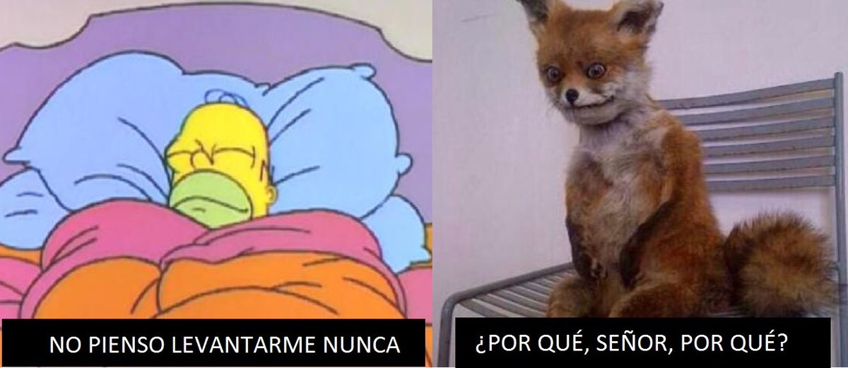 quimicaPau's tweet photo. Finde sin exámenes vs finde con exámenes https://t.co/hldnB0qBad