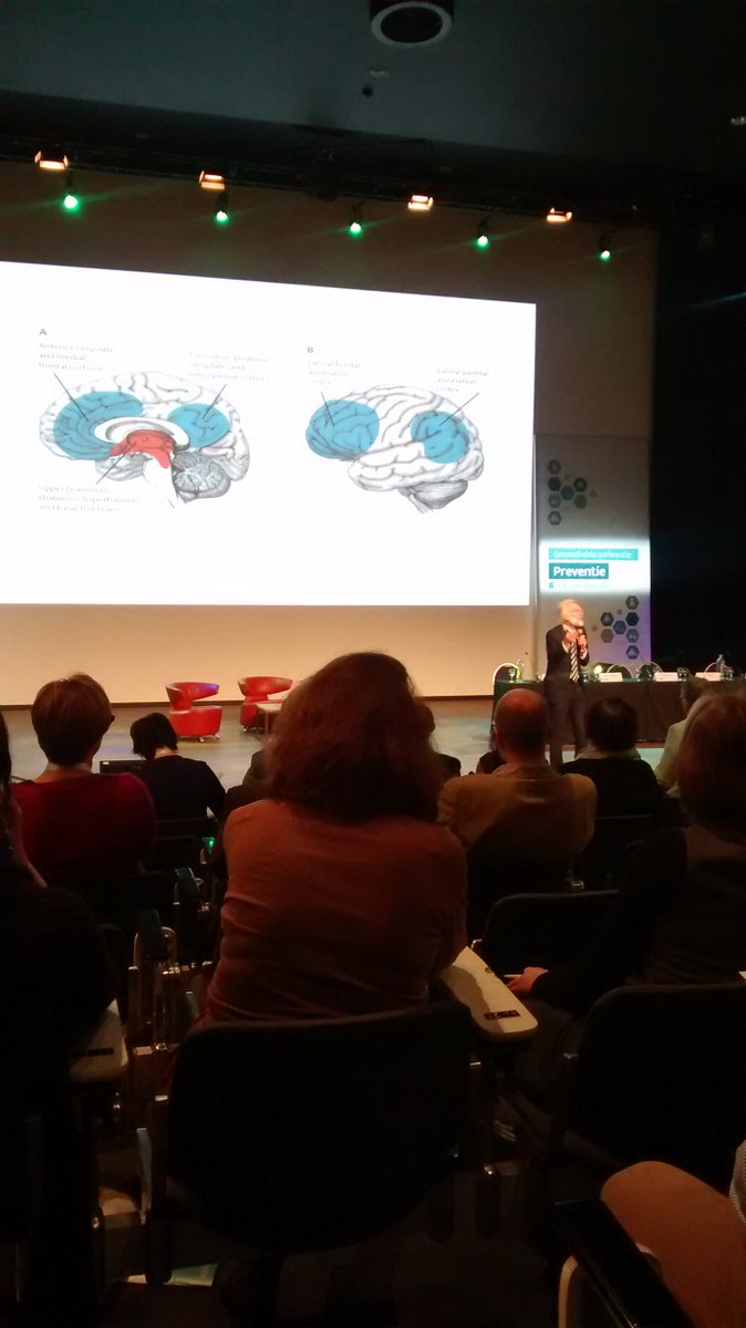 delphine_vanv's tweet photo. De geweldige prof Erik Scherder over de invloed van beweging op onze hersenen #preventie16 @AiGezondheid https://t.co/SKOBMxbW8q