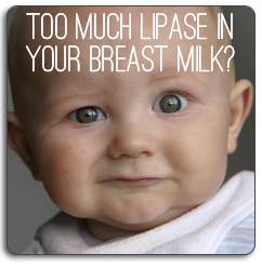 _lipase's tweet photo. tfw you find out babies don't like too much of you :'( https://t.co/zu2XmcmYU1