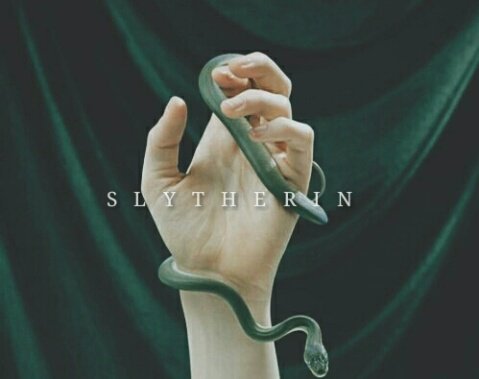 Leah_MSerpy's tweet image. #Lumos 🐍