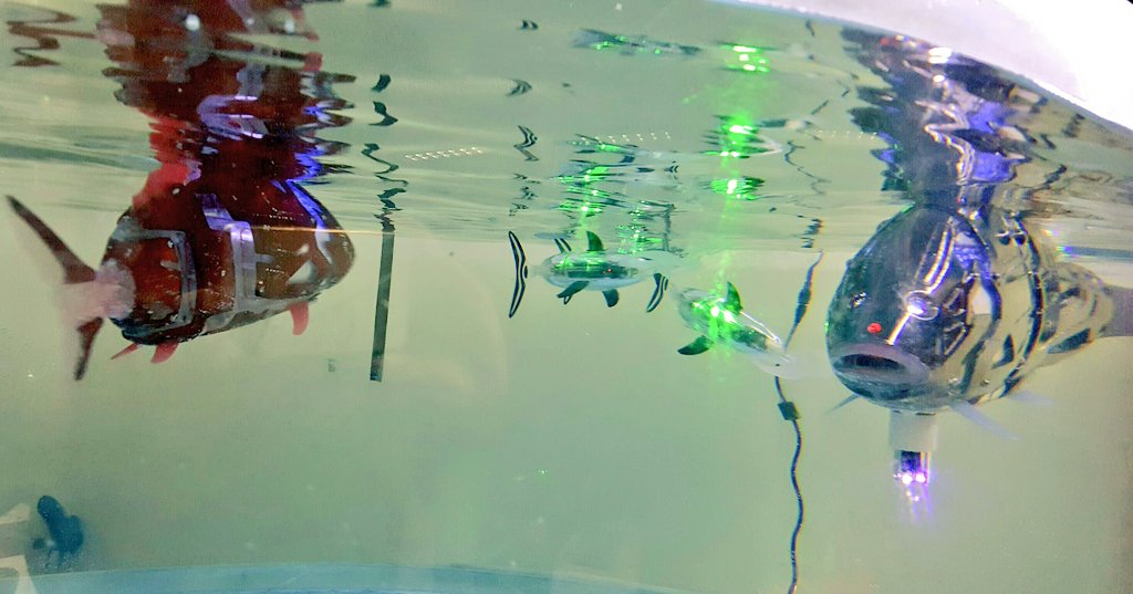 FranceenCoree's tweet image. #한불상호교류의해 폐막 행사 : 라페루즈의 « 세계일주 항해기 » 한국어판 출간