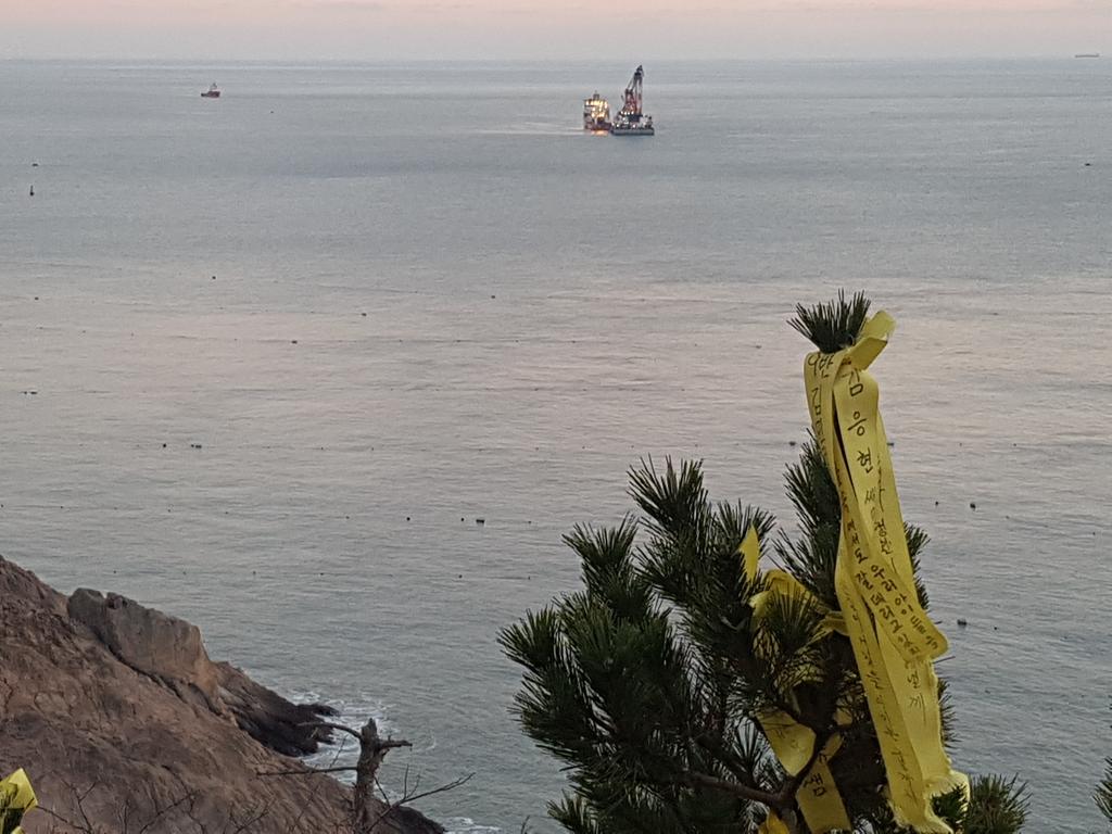 kimyoungoh0416's tweet image. 동거차도에서 세월호 인양작업을 바라보며 박근혜 즉각 퇴진 공범 처벌.적패 청산 8차 촛불집회를 하고 있습니다.

진도 동거차도에서 촛불대신 바람이 불어도 꺼지지 않는 횃불을 밝힙니다.

주최측 추산 50명
경찰측 추산 5명 입니다.