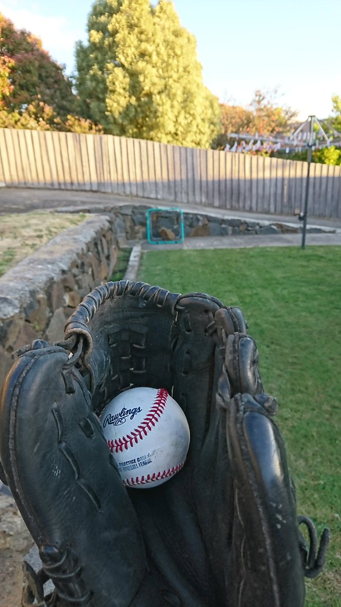M_TTL_TTL_'s tweet photo. Matt Little, is about to throw his 81st pitch of the game. It's an 0-2 count and he's struck out the previous 26 batters #backyarddreaming https://t.co/yZJZqrNrfd