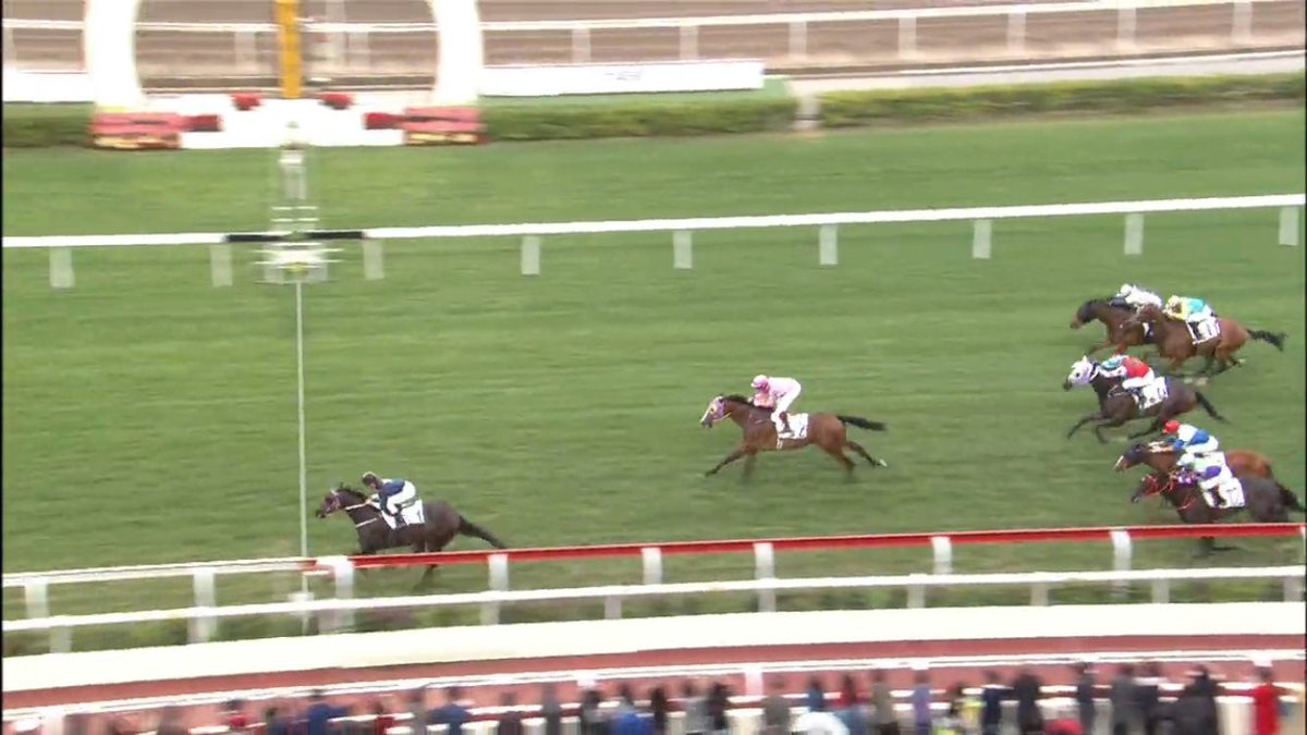 Georgejmoore8's tweet photo. Bad Boy currently on 97 rating should move up 8 points #offtogroup #1000mspecialist #pppurchase #ontobetterthings @KennewellRacing https://t.co/Zdpx7hAxq7