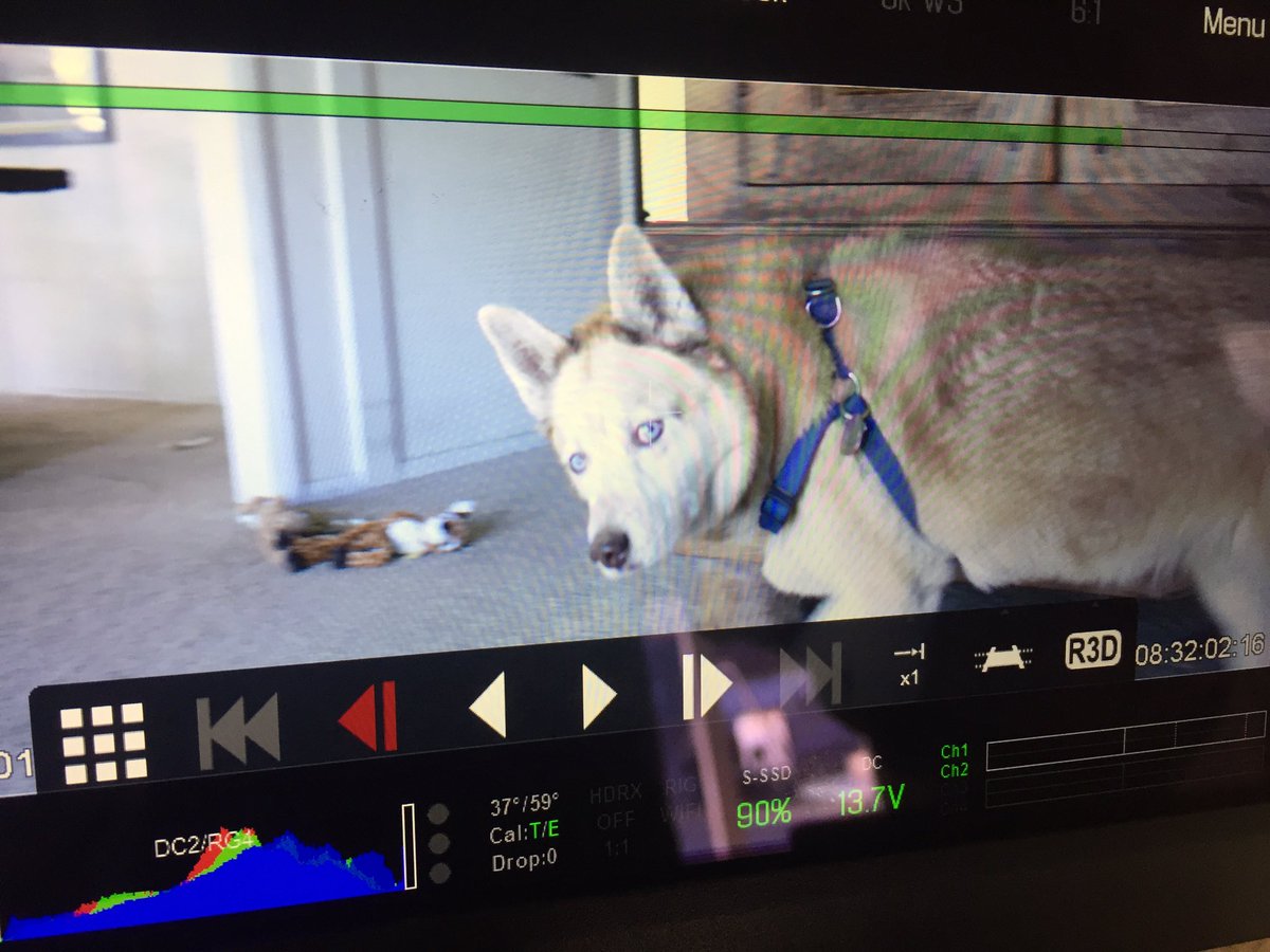 I don't think Taz approves of 8k resolution