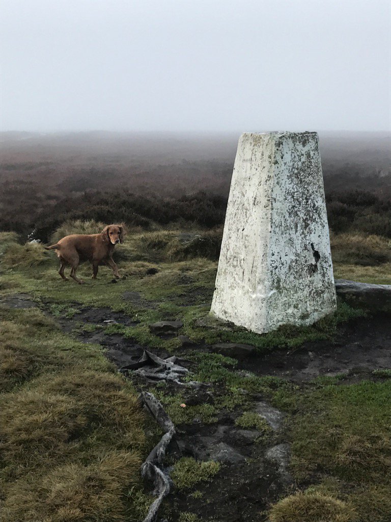 The very top of Ilkley moor on a Saturday morning. #thebestplacetobe