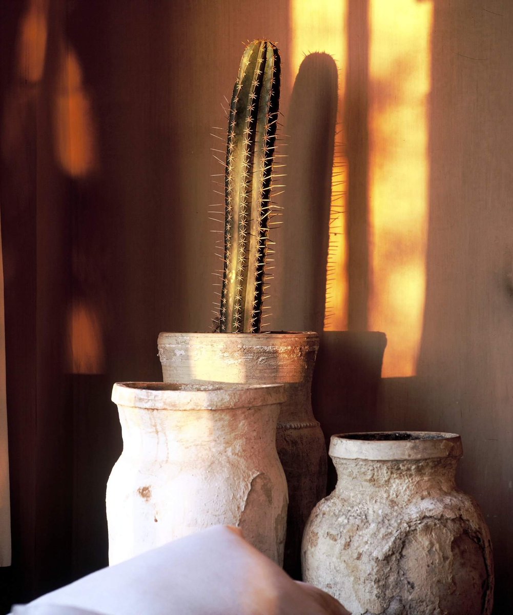 bô-zin.
#marrakechrestaurant