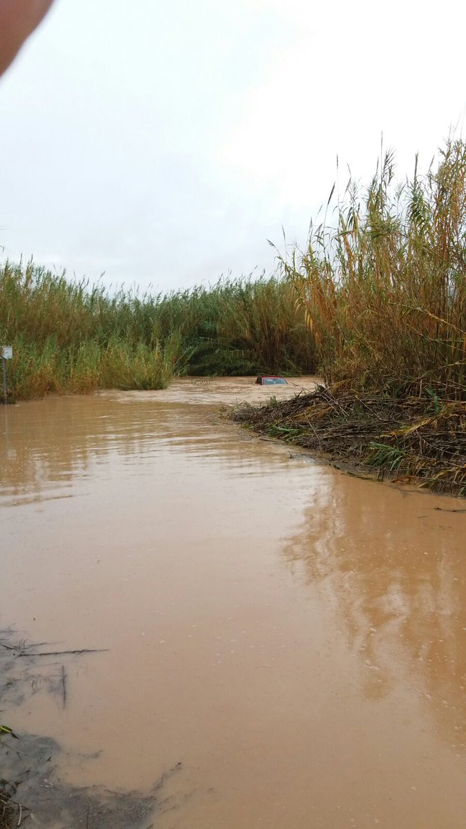 #Riu #Magre al seu pas per #Turís, per favor eviteu creuar rius i zones inundables. No volem lamentar més víctimes mortals. <a href="/GVA112/">Emergències 112CV</a> #pluges