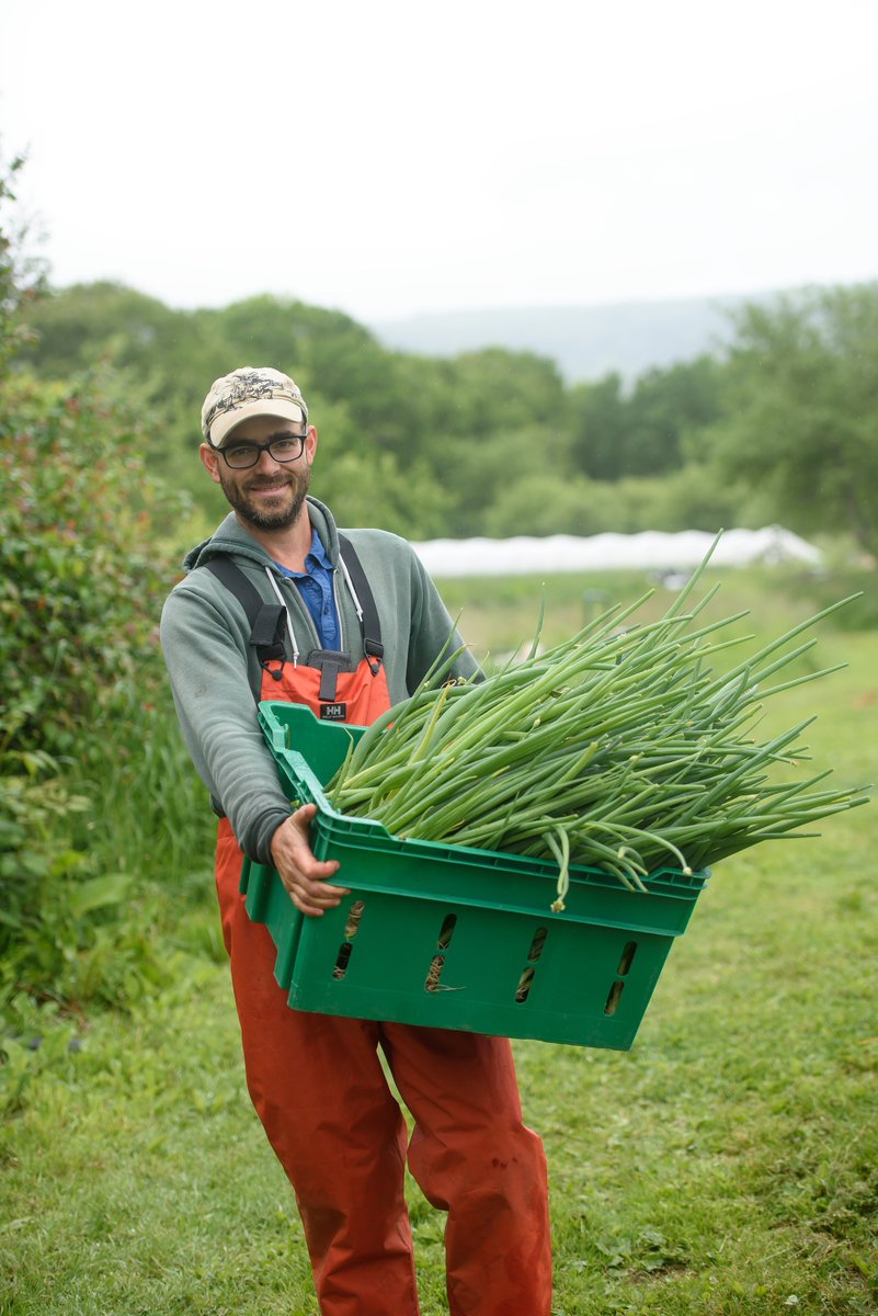 TheHiveMarket's tweet photo. Our new website is live. Signup for great local vendors such as @TrySaute, #ThePorkShop, #PeltonFarms, #Oultens , #Juliens, @SHGlutenfree ! https://t.co/PcgNr1a9Ya