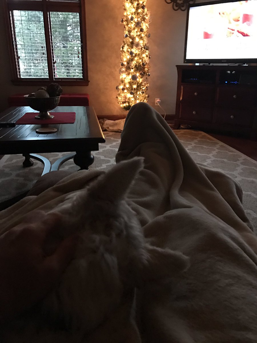 hackney1065's tweet image. Love my lazy Saturday mornings !  They are few and are far apart!