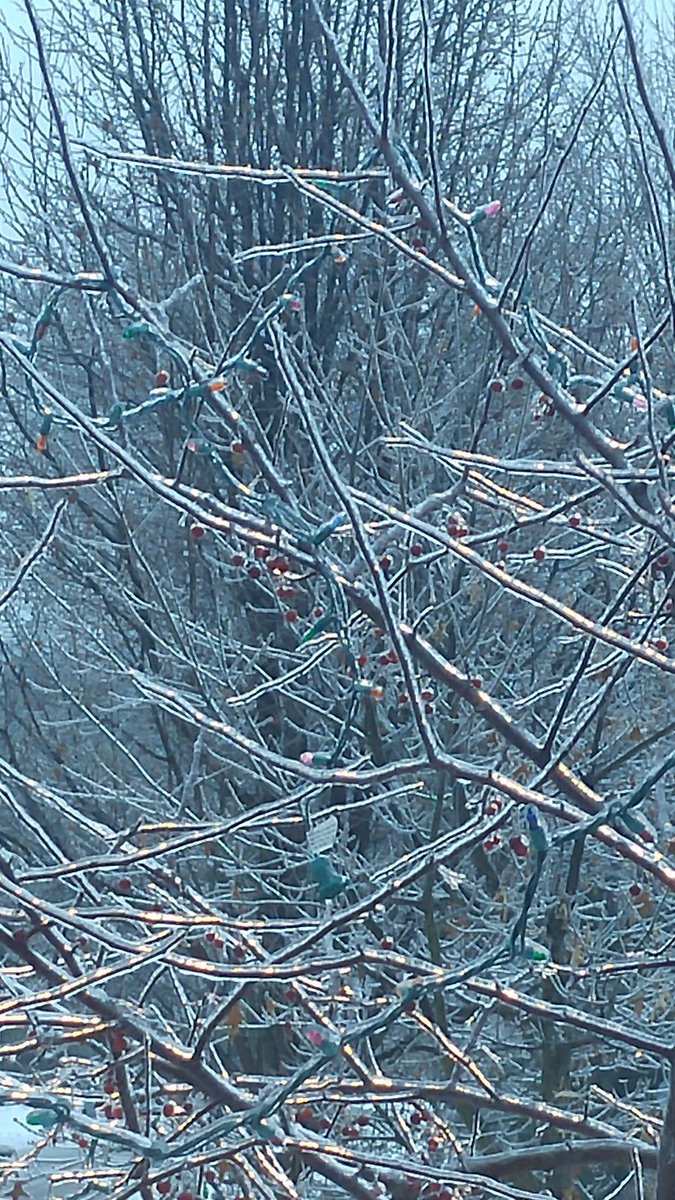 CKaltenbaugh's tweet photo. Thick coating of ice on everything here in #CranberryTownship #wpxi storm #wpxi https://t.co/ynd1fJiN1y