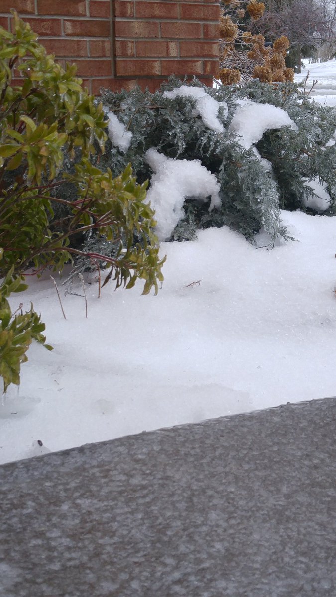 CKaltenbaugh's tweet photo. Thick coating of ice on everything here in #CranberryTownship #wpxi storm #wpxi https://t.co/ynd1fJiN1y
