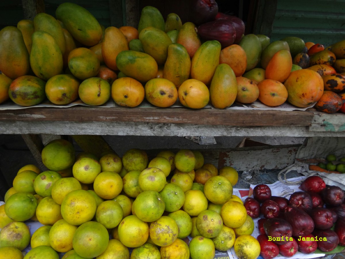BonitaJamaica's tweet photo. Nice little stand, rich in organic nutritious fruits. #Travel #Healthcation #Fruit #Jamaica #Organic #Health #Wellness https://t.co/m5c7ABkuoH