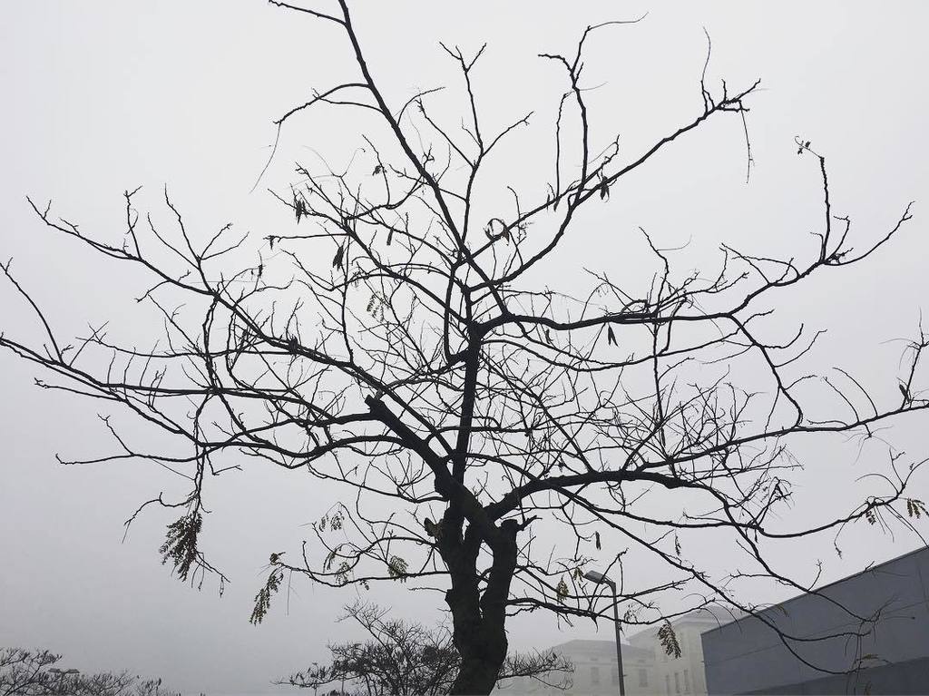 stefanowav's tweet photo. Ciao nebbia vado a Pistoia a ritrovare ME-STESO π· #trashick https://t.co/TYtGbXGFfW https://t.co/q1bOGZiWQl